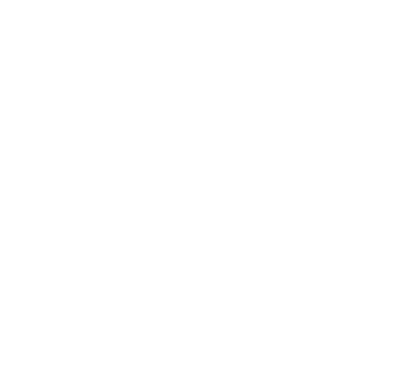 לוגו 248 הנגריה